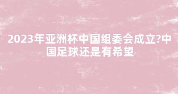 2023年亚洲杯中国组委会成立?中国足球还是有希望