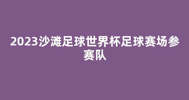 2023沙滩足球世界杯足球赛场参赛队