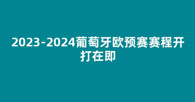 2023-2024葡萄牙欧预赛赛程开打在即