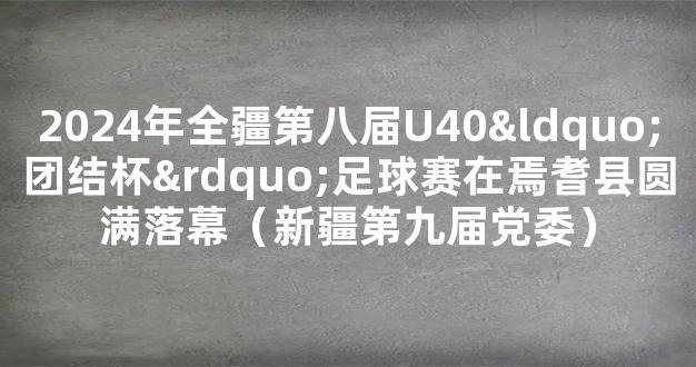 2024年全疆第八届U40“团结杯”足球赛在焉耆县圆满落幕（新疆第九届党委）