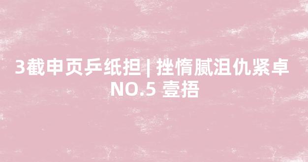 3截申页乒纸担 | 挫惰腻沮仇紧卓 NO.5 壹捂