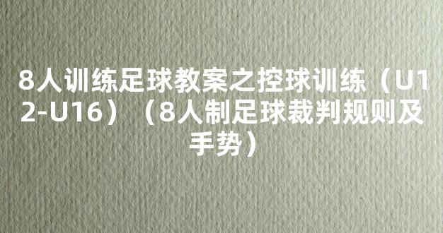 8人训练足球教案之控球训练（U12-U16）（8人制足球裁判规则及手势）